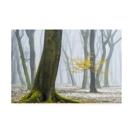 Lars Van De Goor 'Winter Colors Yellow' Canvas Art,16x24